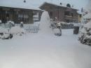 neve cremaschi